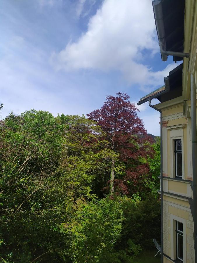 Villa Petterhof Schottwien Exteriér fotografie