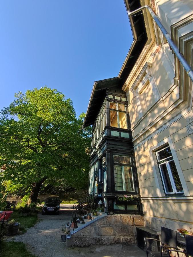 Villa Petterhof Schottwien Exteriér fotografie